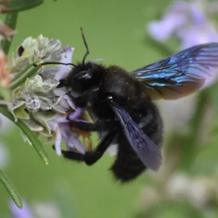 Hébergement de vacances Moulin De L'hoste Larzac