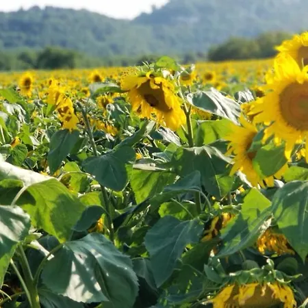 Moulin De L'hoste * Larzac